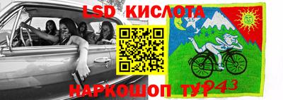 гашик Ипатово