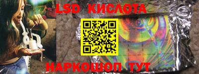 гидра Камышлов