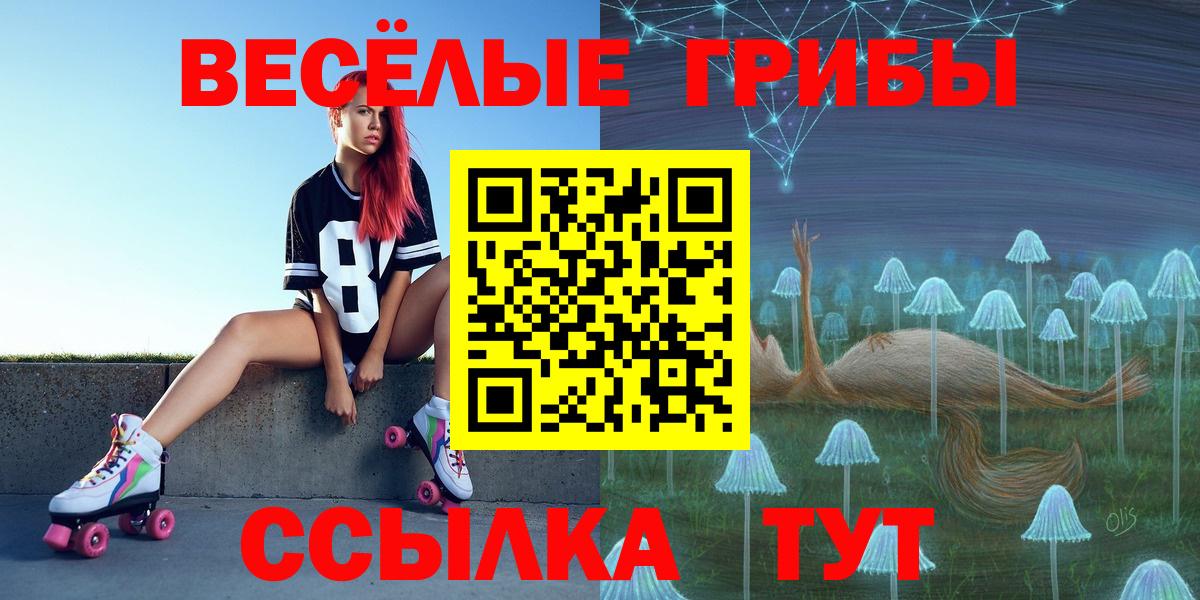 Галлюциногенные грибы GOLDEN TEACHER Дзержинск